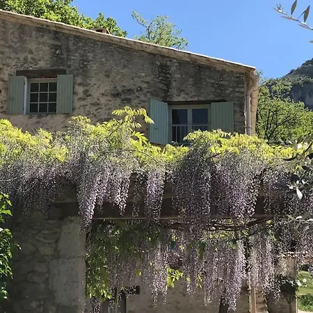 Mas In The Provence