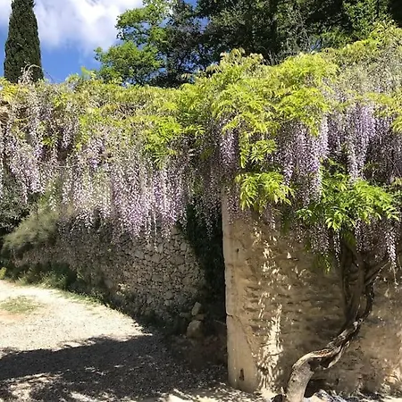 Mas In The Provence * Nyons